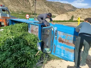 خودروی حامل گیاه &laquo;چلم&raquo; قاچاق در شاهرود