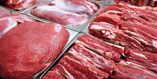 لزوم تخصیص ارز دولتی برای تأمین نهاده
