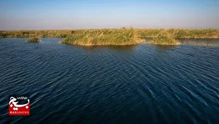 آبگیری مطلوب تالاب&zwnj;های خوزستان؛ شادگان و بامدژ در وضعیت پایدار