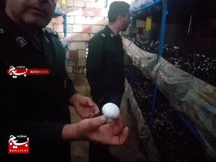 بازدید و پایش مشکلات از پروژه تولید قارچ در روستای میغان شاهرود+ تصاویر