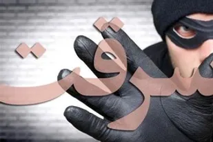 کشف ۶ فقره سرقت در بهار