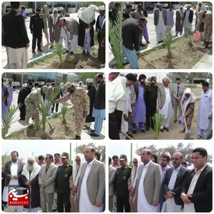 مراسم روز درختکاری و کاشت نهال در میرجاوه  انجام شد