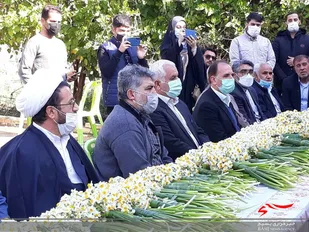 ۱۵هزار شاخه گل از نرگس زارهای بهبهان برای مزار و محل شهادت قاسم سلیمانی ارسال شد