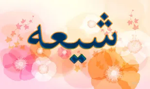 شیعه واقعی نفوذناپذیر بوده و اهل معامله و کوتاه آمدن نیست