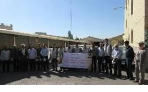 مبارزه جهادگران با آفت سن مزارع گندم+تصاویر