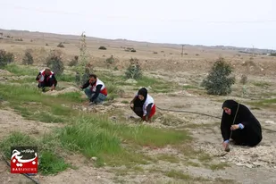 سومین مرحله کاشت نهال در راستای طرح ملی درختکاری در هفتکل
