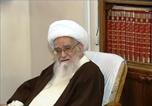 سلب تابعیت شیخ عیسی قاسم، مخالف تمام قوانین مدنی، انسانی و شرعی است: