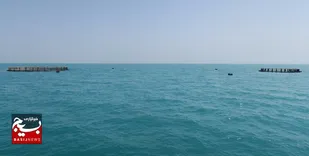 پرورش ماهیان دریایی در قفس در خوزستان کلید خورد