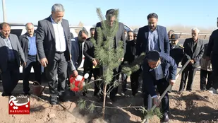 یک&zwnj; میلیون اصله نهال در  اردبیل کاشته شده است
