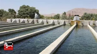 رشد چشمگیر تولید ماهی در قزوین/تولید ۴ هزار تن ماهی سردآبی و ۷۴۰ تن ماهی گرمابی تا نیمه آذرماه