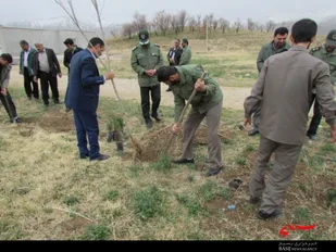 درختکاری در شهرستان فارسان
