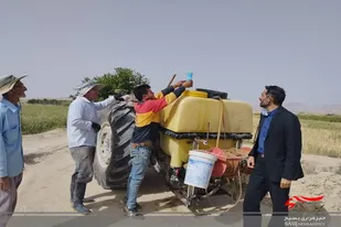 سمپاشی سن غلات در مزارع روستا لاسجرد در سرخه انجام شد