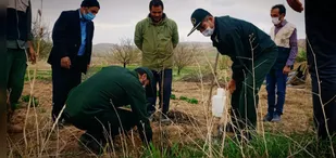 اهداء ۷۰۰۰ اصله نهال مثمر در روستاهای تکاب