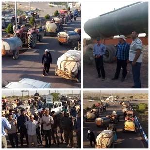 بسیجیان رفسنجان برای پاکسازی منطقه کبوترخان از ملخ ها به میدان آمدند/تصاویر