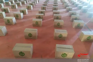 توزیع ۵۰۰ سبد غذایی در دلگان