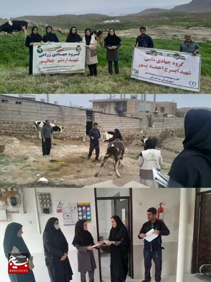 برگزاری اردو جهادی و واکسیناسیون دام در روستای گچ گرساشهرستان لالی