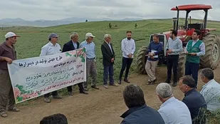 آزمایش کاربردی علف کش اتوبور در مزارع نخود کلیبر