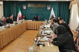 خزعلی در نشست هم&zwnj;اندیشی &laquo;بازتوانی زنان آسیب دیده&raquo;:
دستگاه&zwnj;ها به وظایف خود در حوزه آسیب&zwnj;های اجتماعی زنان عمل کنند