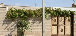 تداوم عملیات بهسازی پیاده رو&zwnj;های شاهرود