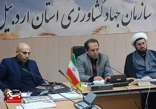 قیمت مرغ روند کاهشی پیدا کرده است