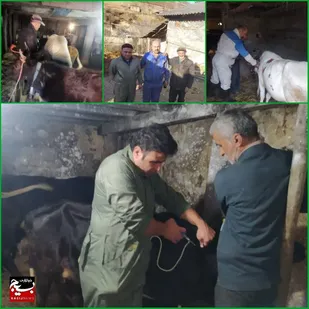 اردوی جهادی یکروزه بسیج مهندسین کشاورزی نوشهر در روستاهای محروم کجور