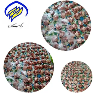 توزیع ۱۳۰بسته گوشت گرم بین نیازمندان محله ارغوان منظریه خمینی&zwnj;شهر
