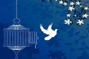 جشن گلریزان آذربایجان شرقی به صورت غیرحضوری برگزار می&zwnj;شود