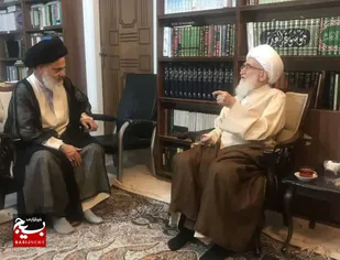 آیت&zwnj;الله نوری همدانی: همه دنبال یک هدف هستیم، نباید جناحی و حزبی عمل شود