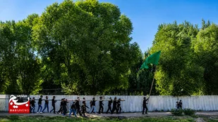 درختی که هر سال چشم&zwnj;انتظار آرزوهاست