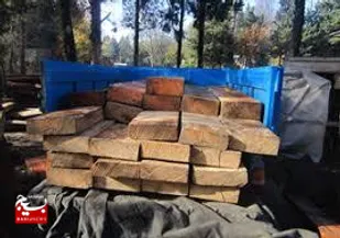 کشف محموله بزرگ چوب قاچاق در آمل / دستگیری سه متهم و توقیف کامیون حامل چوب&zwnj;آلات