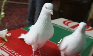 تشییع پیکر مطهر 4 شهید گمنام در قهاوند