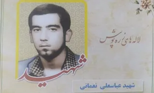 نگذارید اسلحه&zwnj; من بر زمین بماند
