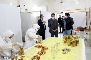 ایجاد 300 هزار شغل برکت در سال جاری