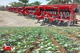 اجرای ۱۰هزار هکتار کشاورزی حفاظتی در استان سیستان و بلوچستان