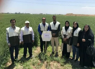 دوره آموزشی اصول کشت گندم روی پشته های ثابت در روستای نصرت آباد برگزار شد
