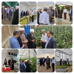 بازدید عضو مجلس خبرگان رهبری از مجتمع کشت و صنعت شهید باغبانی شهرستان گتوند