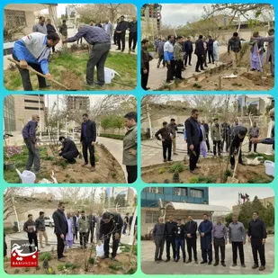 کاشت نهال به مناسبت روز درختکاری در شرکت آبفای سیستان و بلوچستان