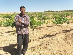 احداث باغ انگور با همت کارآفرین بسیجی در سامان
