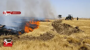 تشکیل ۱۶ پرونده قضایی برای متخلفان سوزاندن کاه و کلش در پارس&zwnj;آباد