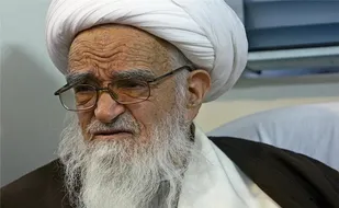 شیعیان برای ترویج معارف نورانی علوی همت کنند