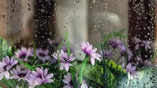 دمای هوا در گلستان تا ۱۰ درجه کاهش می یابد