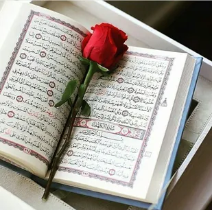 وبینار انس با قرآن در ماه مبارک رمضان برگزار می&zwnj;شود
