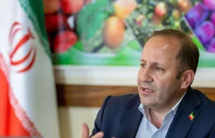 افزایش ۳۳ درصدی ظرفیت خرید تضمینی گندم در مراغه