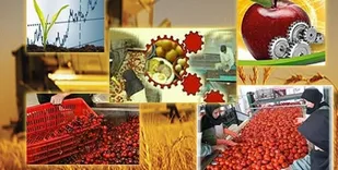 از مرکز ملی پایش سیاست&zwnj;ها و برنامه&zwnj;های اشتغال رونمایی شد