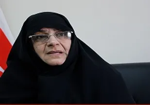 بی اعتنایی دولت به قانون عفاف و حجاب/ وزرا و دستگاه های دولتی اطلاعی از مصوبه ندارند/مجلس موضوع را پیگیری کند
