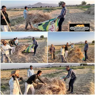 اردوی جهادی در مزارع