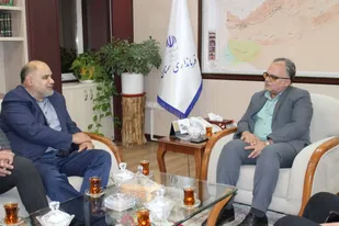 دانشگاه ملی مهارت: راهی مطمئن به اشتغال با ۶۰ درصد موفقیت