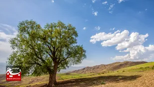 تداوم جو پایدار استان اردبیل تا اواخر هفته جاری