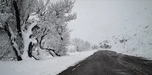 آغاز بارش برف در گردنه های استان قزوین