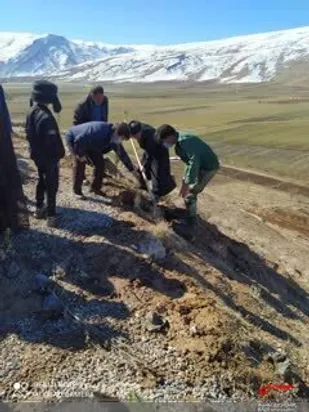 کاشت نهال در شهرستان خانمیرزا